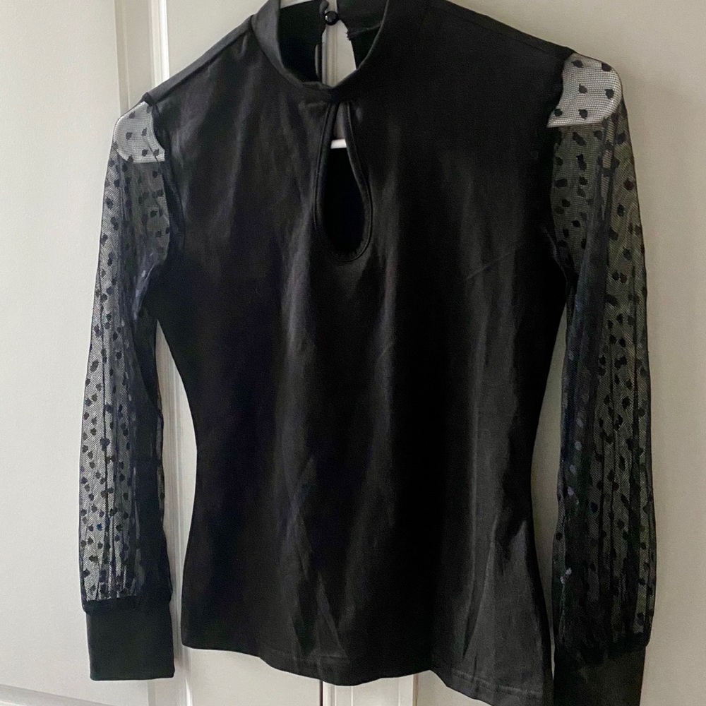 Black Top Sheer Long Sleeves